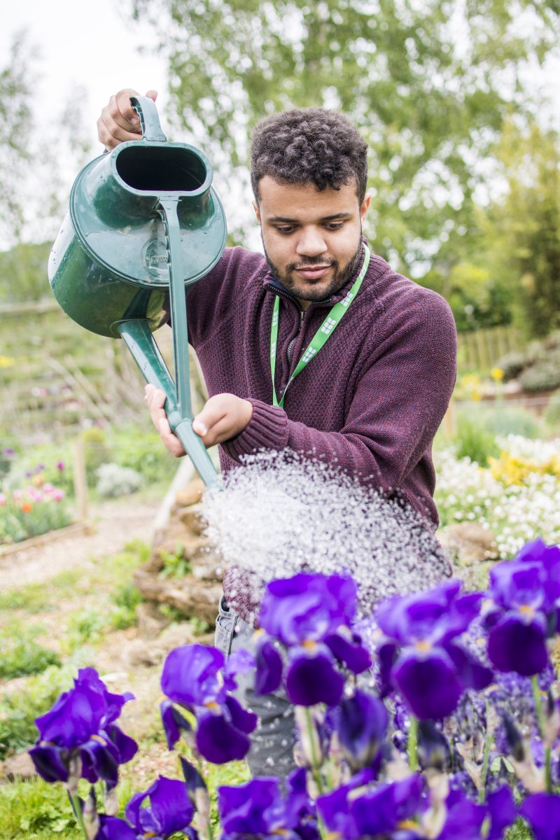 Horticulture